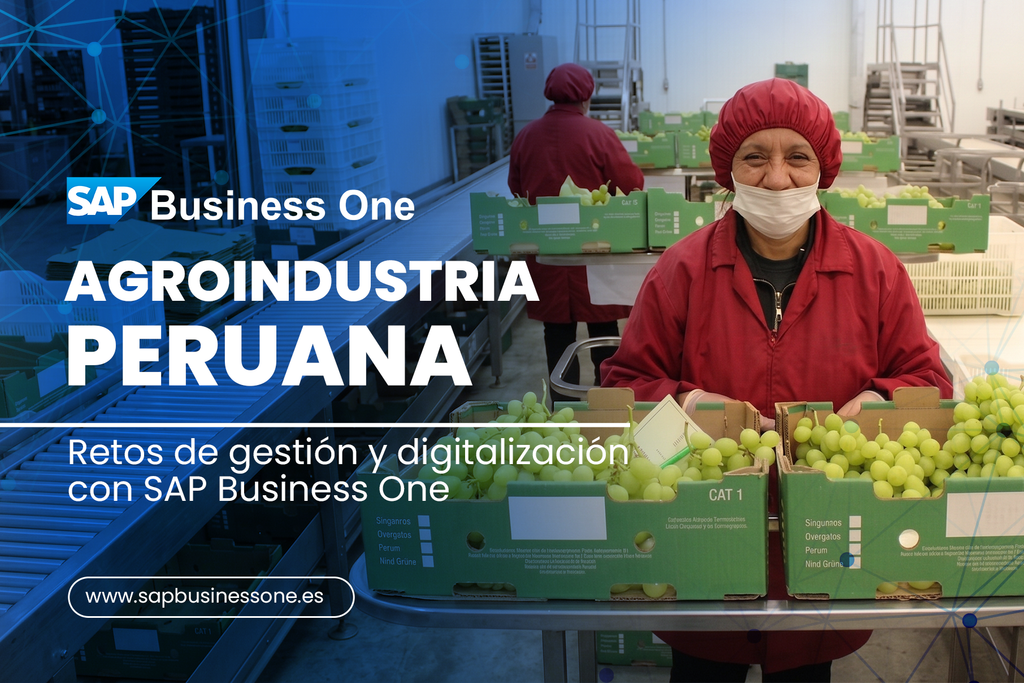 PLANTILLA DE BLOG SAP BUSINESS